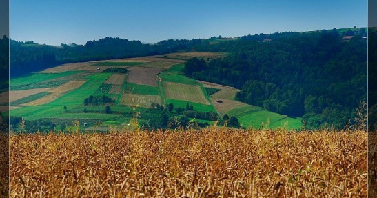 Rajd Rzeszowski